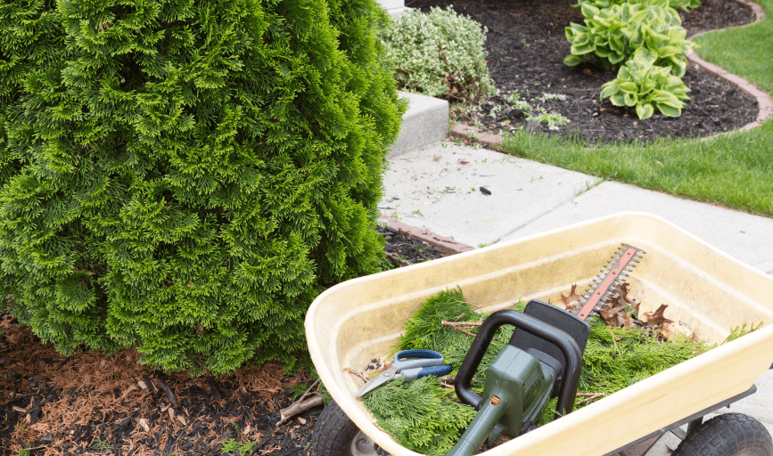 YARD DEBRIS REMOVAL
